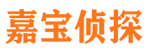 内乡市私家侦探